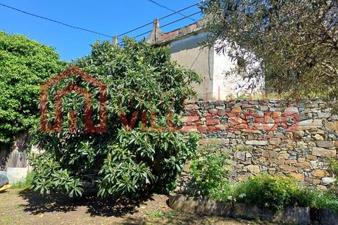 Terra a Moimenta da Beira, Viseu, Moimenta da Beira - € 150.000 | Ref: SÒL_338 - foto 4