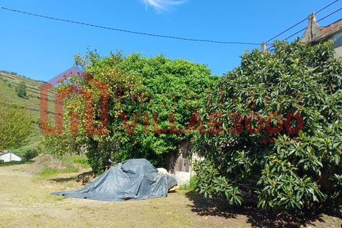 Terra a Moimenta da Beira, Viseu, Moimenta da Beira - € 150.000 | Ref: SÒL_338 - foto 5
