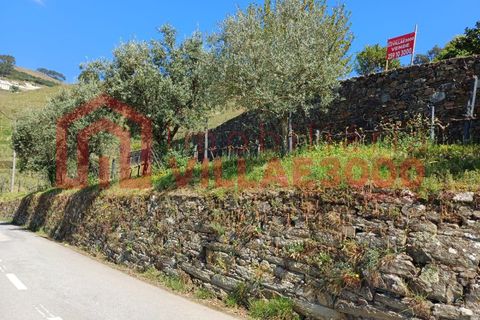 Terra a Moimenta da Beira, Viseu, Moimenta da Beira - € 150.000 | Ref: SÒL_338 - foto 6