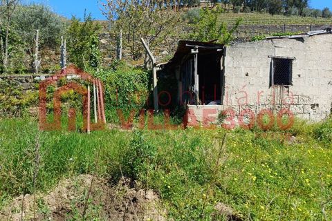 Terra a Moimenta da Beira, Viseu, Moimenta da Beira - € 150.000 | Ref: SÒL_338 - foto 7