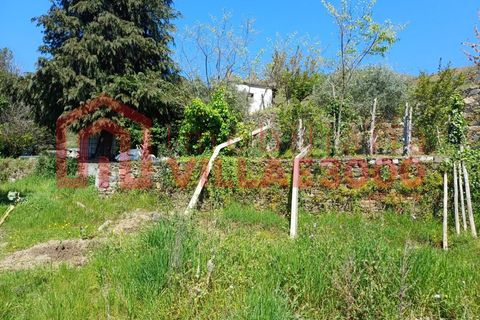 Terra a Moimenta da Beira, Viseu, Moimenta da Beira - € 150.000 | Ref: SÒL_338 - foto 8