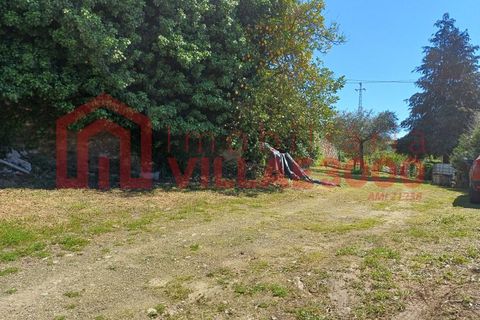 Terra a Moimenta da Beira, Viseu, Moimenta da Beira - € 150.000 | Ref: SÒL_338 - foto 9
