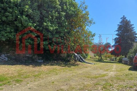 Terra a Moimenta da Beira, Viseu, Moimenta da Beira - € 150.000 | Ref: SÒL_338 - foto 10