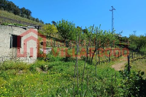 Terra a Moimenta da Beira, Viseu, Moimenta da Beira - € 150.000 | Ref: SÒL_338 - foto 11