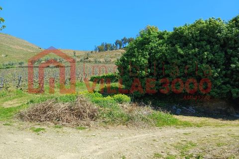 Terra a Moimenta da Beira, Viseu, Moimenta da Beira - € 150.000 | Ref: SÒL_338 - foto 12