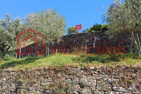 Terra a Moimenta da Beira, Viseu, Moimenta da Beira - € 150.000 | Ref: SÒL_338 - foto 13