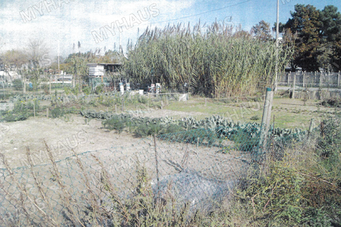 Tomt i Cesenatico, Forli-Cesena, Cesenatico - € 189 000 | Ref: terreno edificabile - foto 2