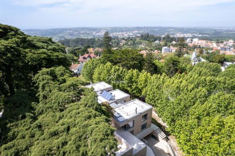 Villa i Sintra, Lisbon, Sintra - € 4.800.000 | Ref: TAPT01-729_KH - foto 9