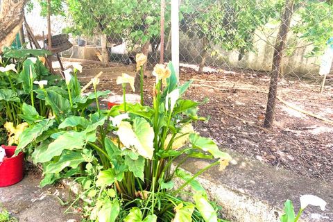Landejendom i Arraiolos, Evora, Arraiolos - € 170.000 | Ref: CAS_353 - foto 4