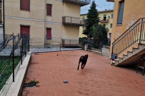 Lejlighed i Sinalunga, Siena, Sinalunga - € 87.000 | Ref: AP1228 - foto 10
