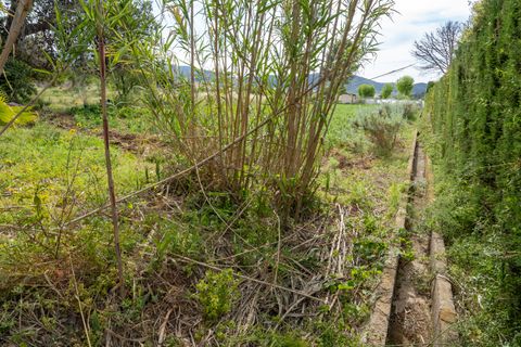 Finca i Ulldecona, Tarragona, Ulldecona - € 30.000 | Ref: 48 - foto 4