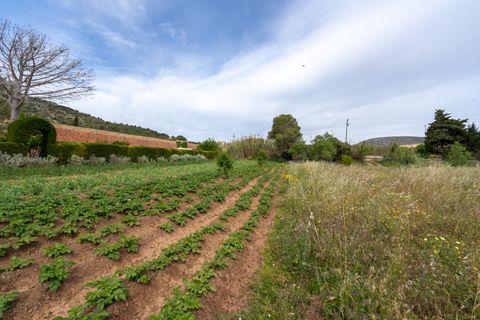 Finca i Ulldecona, Tarragona, Ulldecona - € 30.000 | Ref: 48 - foto 6