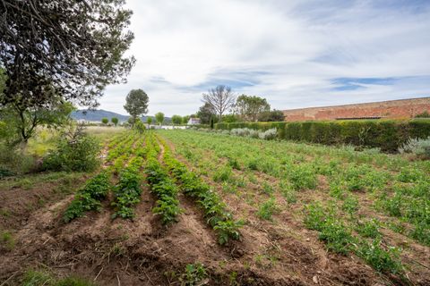 Finca i Ulldecona, Tarragona, Ulldecona - € 30.000 | Ref: 48 - foto 9