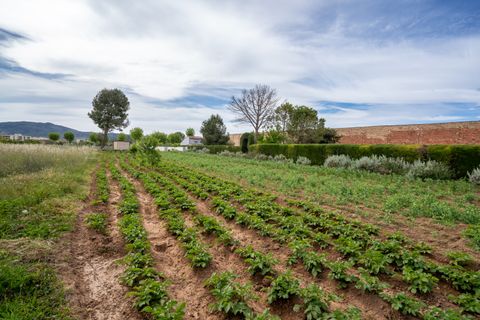 Finca i Ulldecona, Tarragona, Ulldecona - € 30.000 | Ref: 48 - foto 10