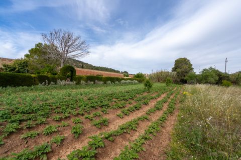 Finca i Ulldecona, Tarragona, Ulldecona - € 30.000 | Ref: 48 - foto 2