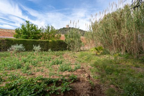 Finca i Ulldecona, Tarragona, Ulldecona - € 30.000 | Ref: 48 - foto 7