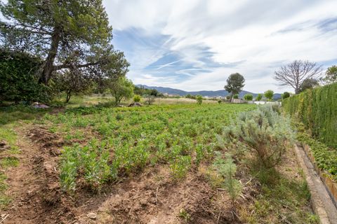 Finca i Ulldecona, Tarragona, Ulldecona - € 30.000 | Ref: 48 - foto 5