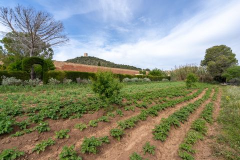 Finca i Ulldecona, Tarragona, Ulldecona - € 30.000 | Ref: 48 - foto 3