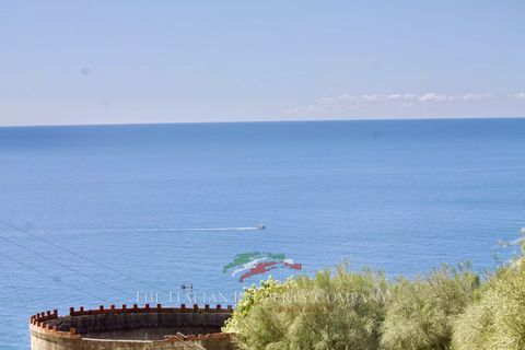 Terra a Ospedaletti, Imperia, Ospedaletti - € 400.000 | Ref: T212 - foto 4