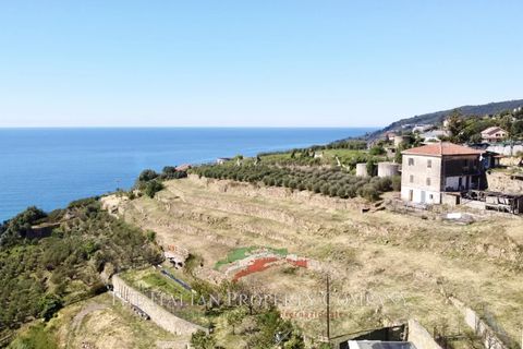 Terra a Ospedaletti, Imperia, Ospedaletti - € 400.000 | Ref: T212 - foto 5