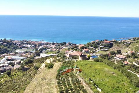 Terra a Ospedaletti, Imperia, Ospedaletti - € 400.000 | Ref: T212 - foto 6