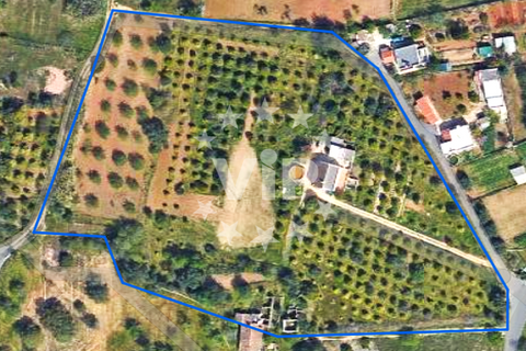 Farm hus i Almancil, Faro, Almancil - € 950.000 | Ref: VV1922 - foto 2