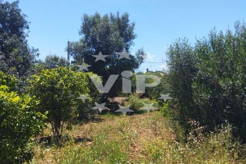Farm hus i Almancil, Faro, Almancil - € 950.000 | Ref: VV1922 - foto 5