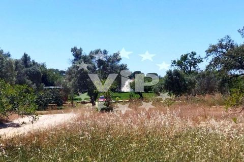 Farm hus i Almancil, Faro, Almancil - € 950.000 | Ref: VV1922 - foto 4