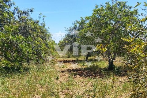 Farm hus i Almancil, Faro, Almancil - € 950.000 | Ref: VV1922 - foto 14