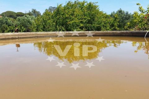 Farm hus i Almancil, Faro, Almancil - € 950.000 | Ref: VV1922 - foto 17