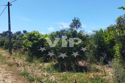 Farm hus i Almancil, Faro, Almancil - € 950.000 | Ref: VV1922 - foto 19