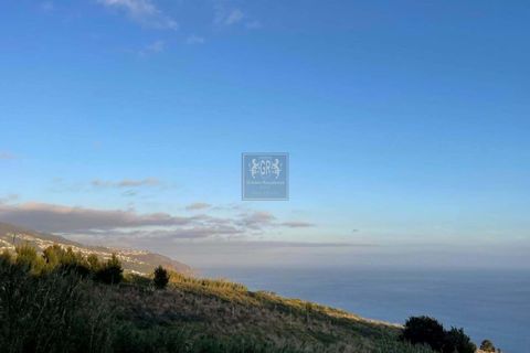 Helårsgrund i Calheta, Madeira, Calheta - € 525.000 | Ref: 496 - foto 6