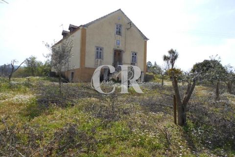Farm i Ansiao, Leiria, Ansiao - € 320.000 | Ref: CR0559 - foto 2