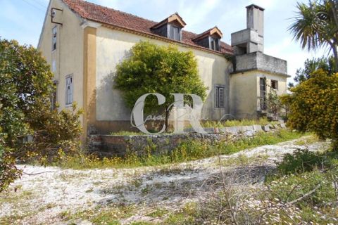 Farm i Ansiao, Leiria, Ansiao - € 320.000 | Ref: CR0559 - foto 4