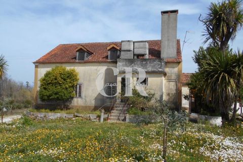 Farm i Ansiao, Leiria, Ansiao - € 320.000 | Ref: CR0559 - foto 5
