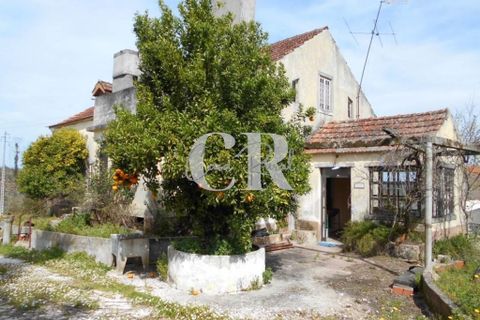 Farm i Ansiao, Leiria, Ansiao - € 320.000 | Ref: CR0559 - foto 6