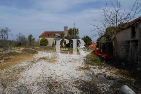 Farm i Ansiao, Leiria, Ansiao - € 320.000 | Ref: CR0559 - foto 8