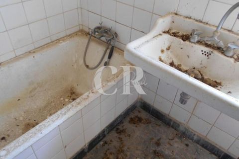 Farm i Ansiao, Leiria, Ansiao - € 320.000 | Ref: CR0559 - foto 35
