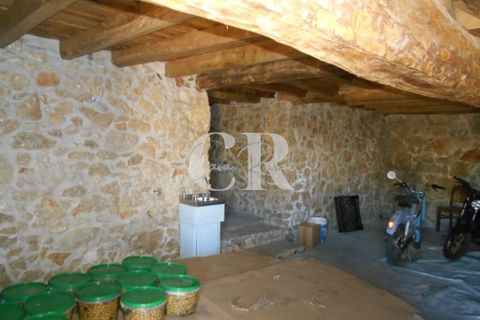 Farm i Ansiao, Leiria, Ansiao - € 320.000 | Ref: CR0559 - foto 46
