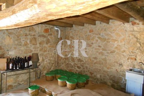 Farm i Ansiao, Leiria, Ansiao - € 320.000 | Ref: CR0559 - foto 47