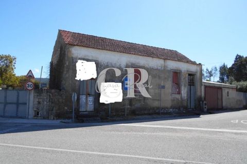 Farm i Ansiao, Leiria, Ansiao - € 320.000 | Ref: CR0559 - foto 48