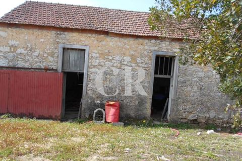Farm i Ansiao, Leiria, Ansiao - € 320.000 | Ref: CR0559 - foto 49