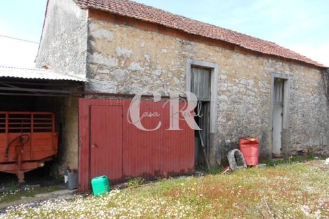 Farm i Ansiao, Leiria, Ansiao - € 320.000 | Ref: CR0559 - foto 50