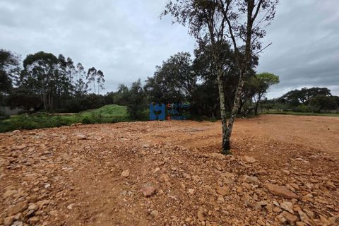 Helårsgrund i Fatima, Santarem, Fatima - € 55.000 | Ref: T1110_2024 - foto 4