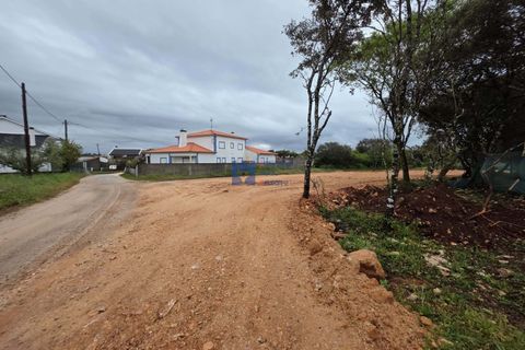 Helårsgrund i Fatima, Santarem, Fatima - € 55.000 | Ref: T1110_2024 - foto 5