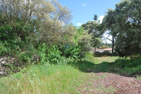 Helårsgrund i Fatima, Santarem, Fatima - € 55.000 | Ref: T1110_2024 - foto 6