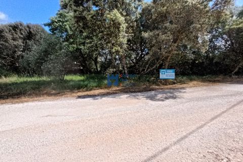 Helårsgrund i Fatima, Santarem, Fatima - € 55.000 | Ref: T1110_2024 - foto 7