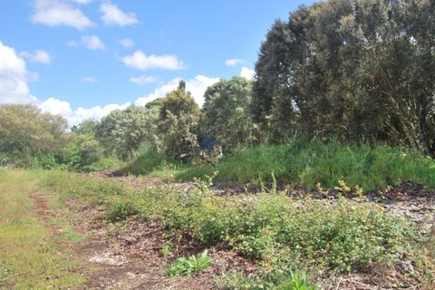 Helårsgrund i Fatima, Santarem, Fatima - € 55.000 | Ref: T1110_2024 - foto 8