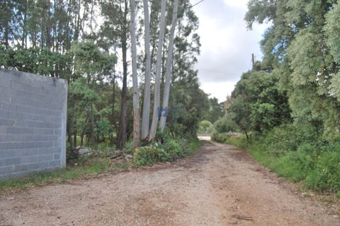 Helårsgrund i Fatima, Santarem, Fatima - € 55.000 | Ref: T1110_2024 - foto 10