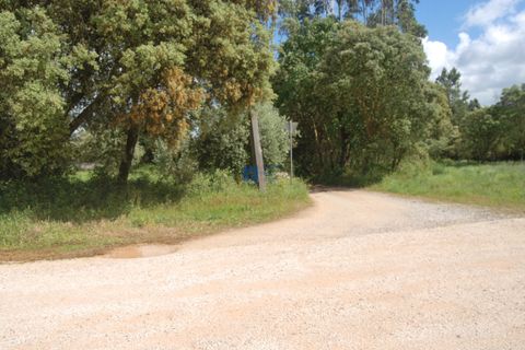 Helårsgrund i Fatima, Santarem, Fatima - € 55.000 | Ref: T1110_2024 - foto 11